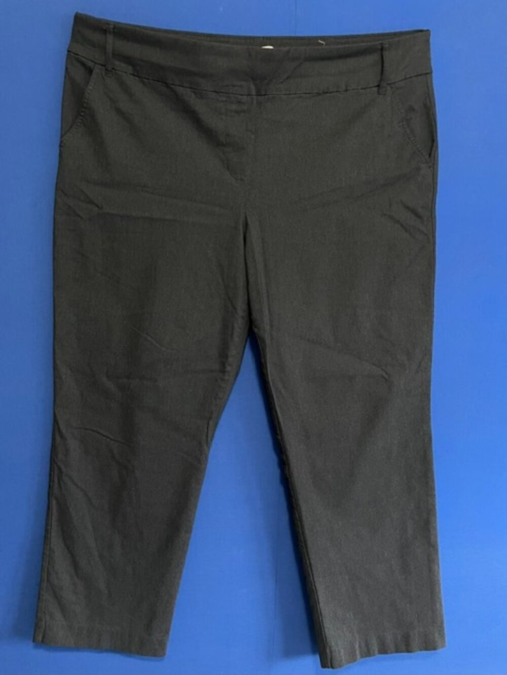Penningtons Savvy Grey/Charcoal Straight Leg Petite Plus Pants - Size 24P